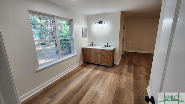 bathroom featuring vanity and wood-type flooring