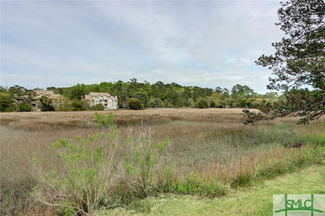 view of local wilderness