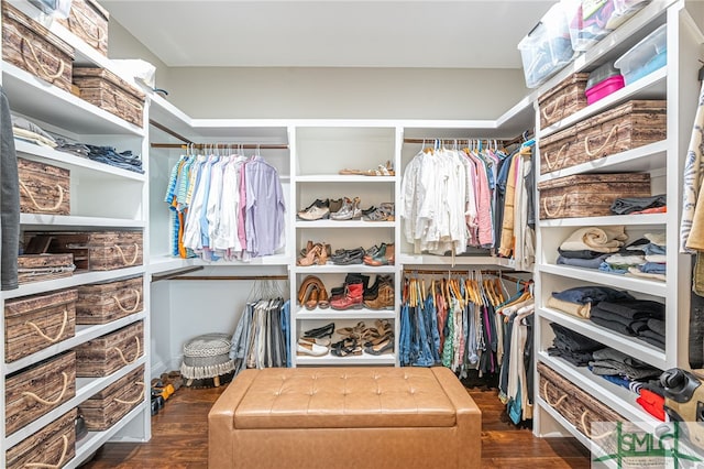 spacious closet featuring dark wood-type flooring