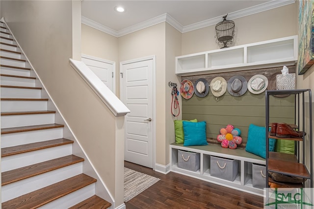 mudroom featuring dark hardwood / wood-style floors and crown molding