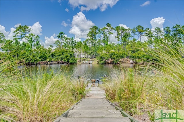 property view of water