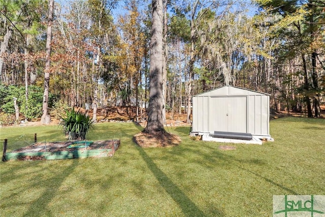 view of yard with a storage shed