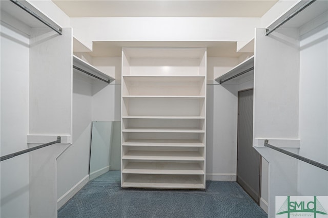 spacious closet with dark carpet