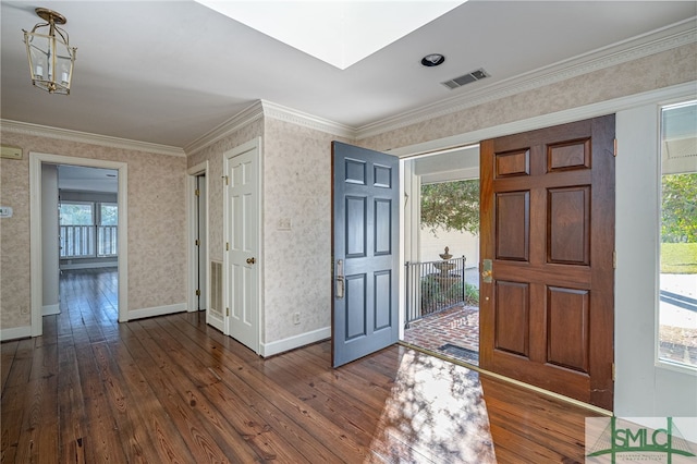 foyer entrance featuring a healthy amount of sunlight, a skylight, and dark hardwood / wood-style flooring