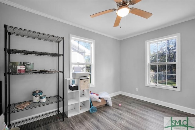 interior space with ceiling fan, crown molding, and wood-type flooring