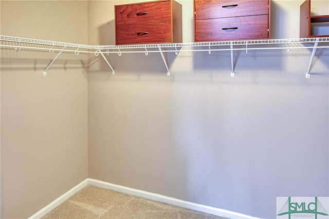 walk in closet featuring carpet flooring