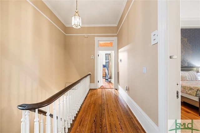 corridor with hardwood / wood-style floors and crown molding