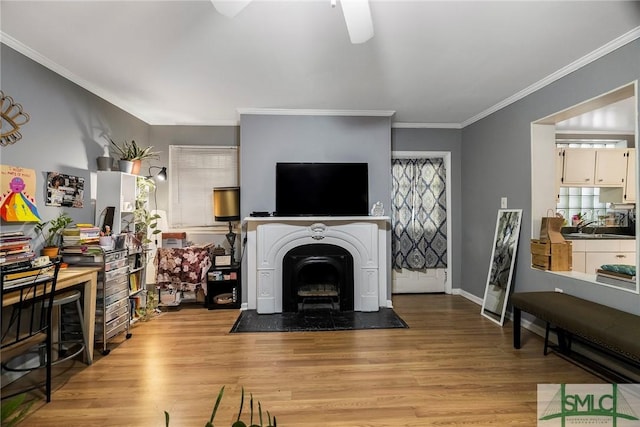 123 W Gwinnett St, Savannah, GA 31401 - living room featuring a ceiling fan, ornamental molding, a fireplace, and wood finished floors