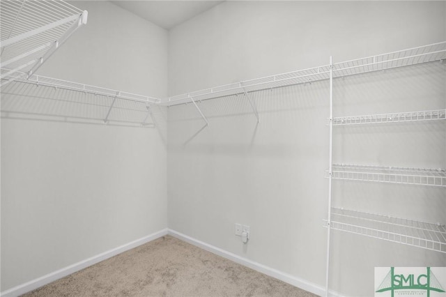 spacious closet featuring carpet flooring