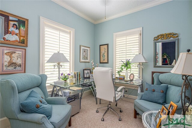 office featuring light carpet, ornamental molding, plenty of natural light, and baseboards