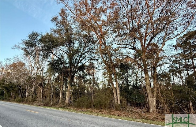 Address Not Disclosed, Statesboro GA, 30461 land for sale