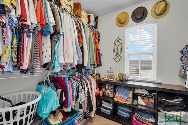 spacious closet with carpet