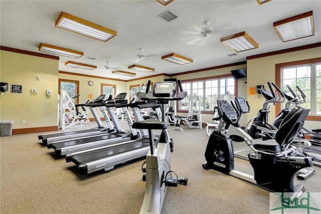 workout area with crown molding and ceiling fan