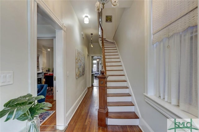 stairway featuring wood-type flooring