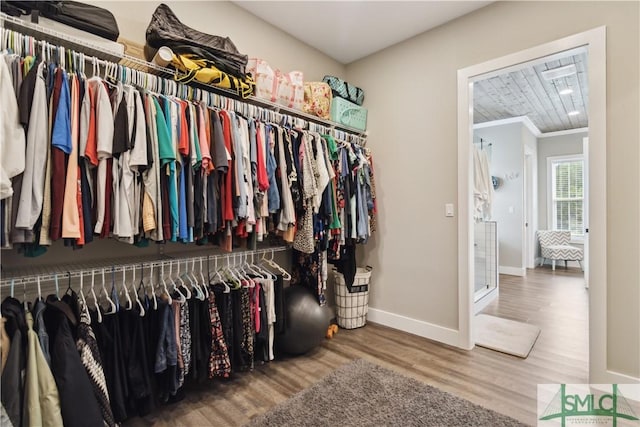 walk in closet featuring wood finished floors