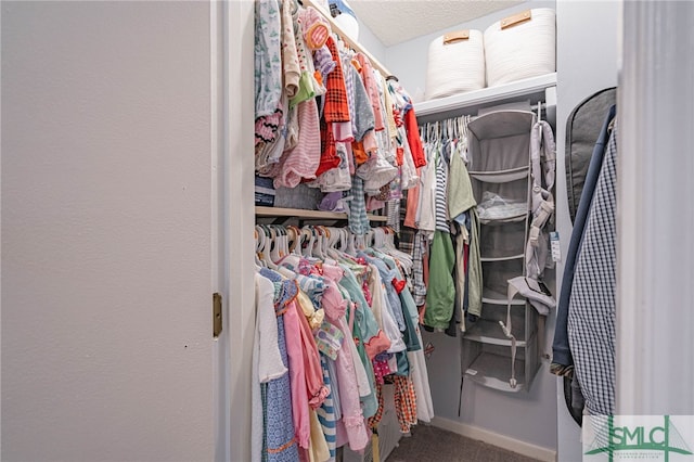 spacious closet with carpet floors