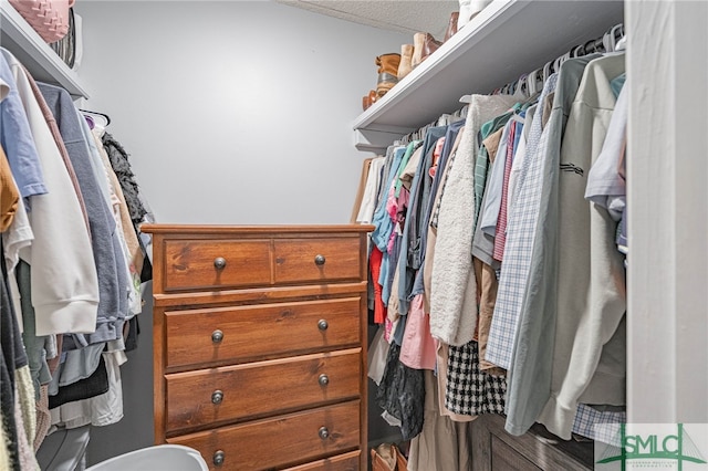 view of walk in closet