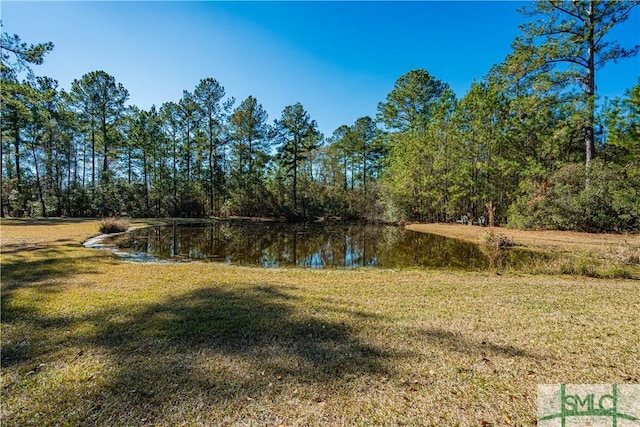 view of yard with a water view