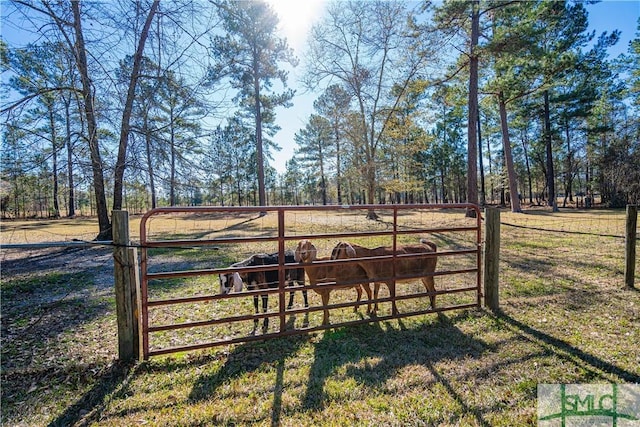 view of gate with a rural view