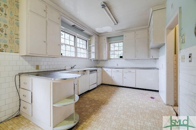 kitchen featuring white cabinets, dishwasher, and sink