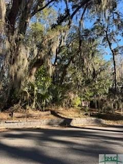 617 Wau Bun Dr, Savannah GA, 31419 land for sale