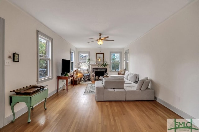 living room featuring ceiling fan, light hardwood / wood-style flooring, and crown molding