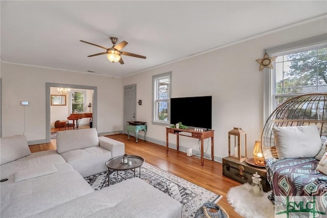 living room featuring ceiling fan with notable chandelier, hardwood / wood-style floors, and ornamental molding