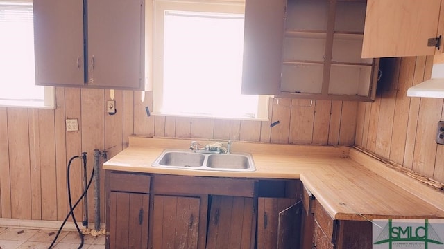 kitchen featuring sink and wooden walls