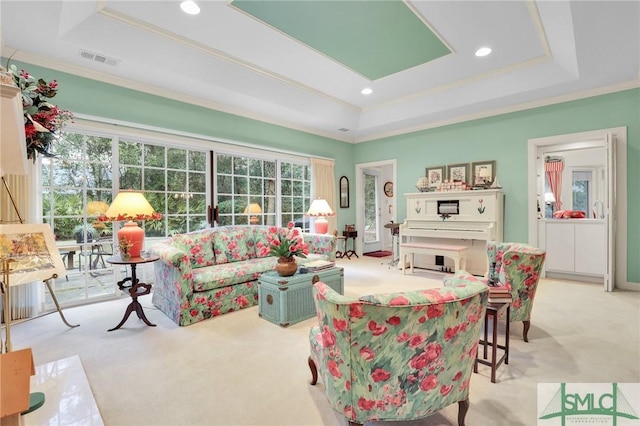 living room featuring a raised ceiling and light colored carpet