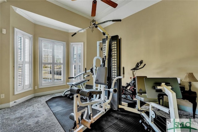 workout area with crown molding, carpet floors, and ceiling fan