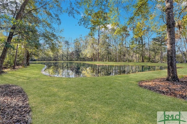 view of yard with a water view