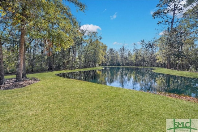 view of yard with a water view