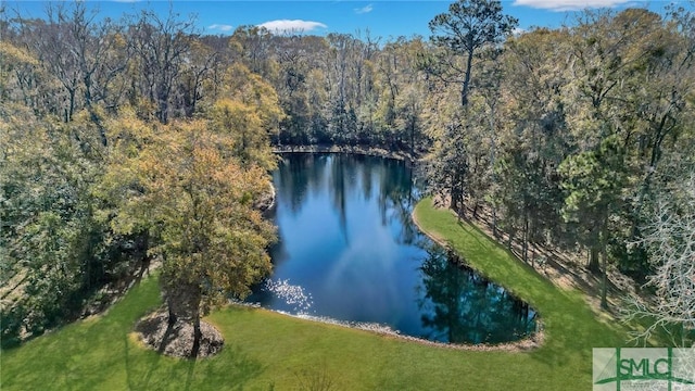 aerial view featuring a water view