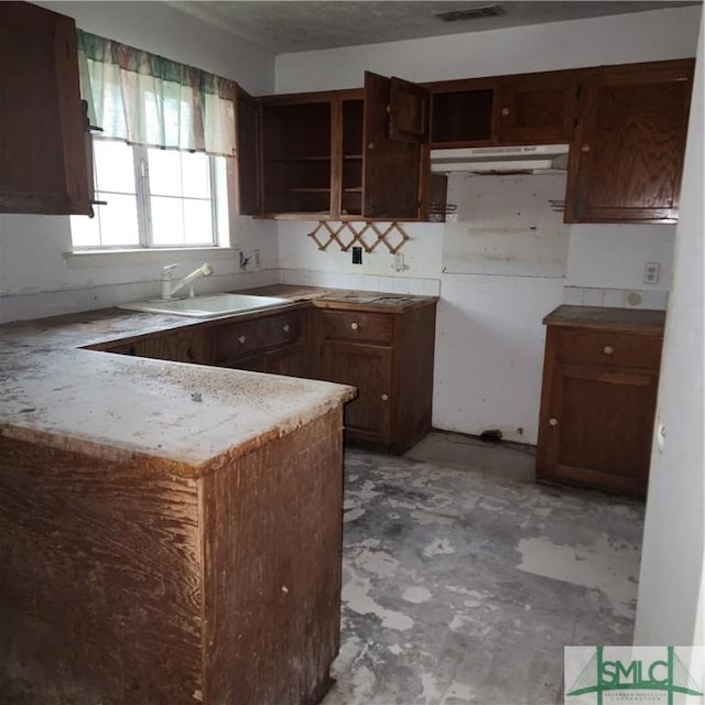 kitchen with dark brown cabinets, sink, and kitchen peninsula