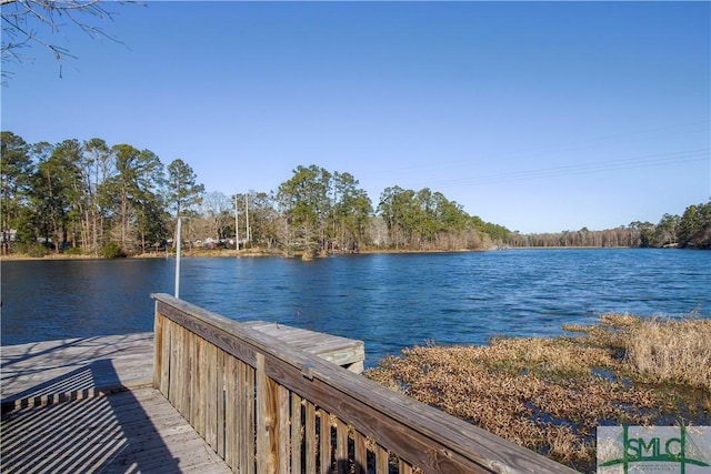 dock area with a water view