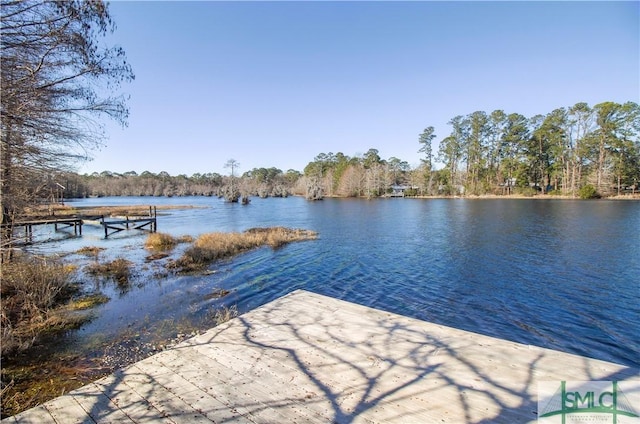 dock area featuring a water view