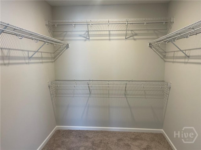 82 Marsh Salt Ln, Port Wentworth, GA 31407 - spacious closet featuring carpet flooring