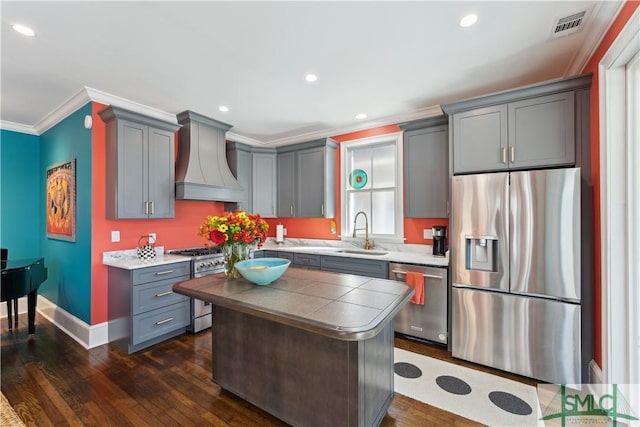 kitchen with dark hardwood / wood-style flooring, sink, custom range hood, and appliances with stainless steel finishes