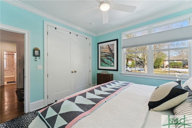 bedroom with crown molding, ceiling fan, dark hardwood / wood-style floors, and a closet