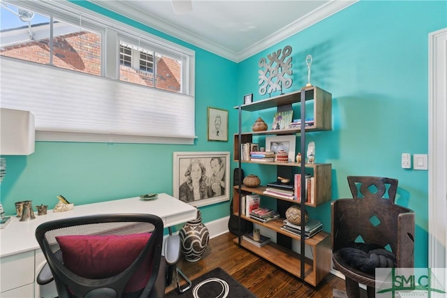 office area with crown molding and dark hardwood / wood-style floors