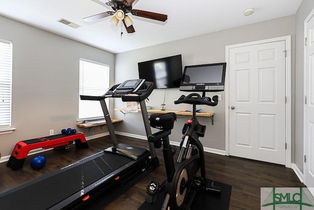 exercise area with ceiling fan and dark hardwood / wood-style flooring