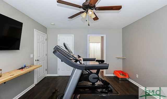 exercise area featuring ceiling fan and dark hardwood / wood-style flooring