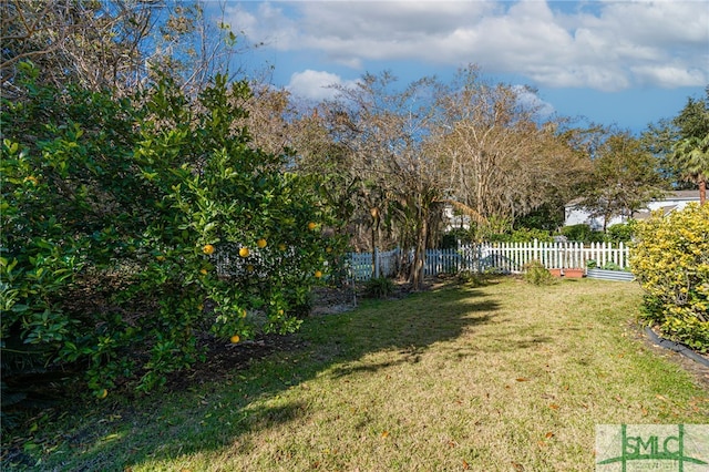 view of yard