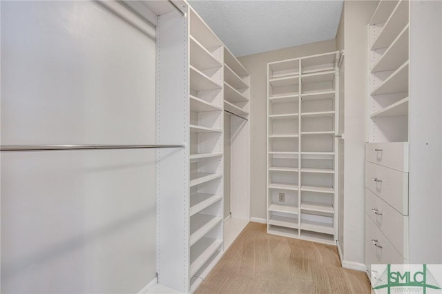 spacious closet featuring light carpet