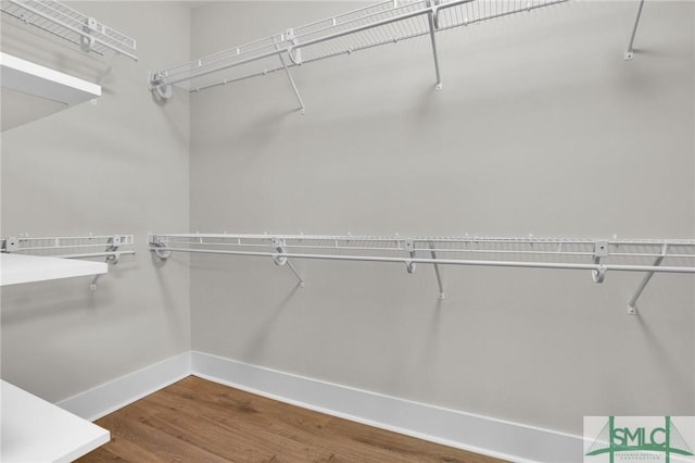 spacious closet featuring hardwood / wood-style flooring