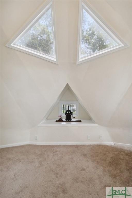 interior details with carpet floors