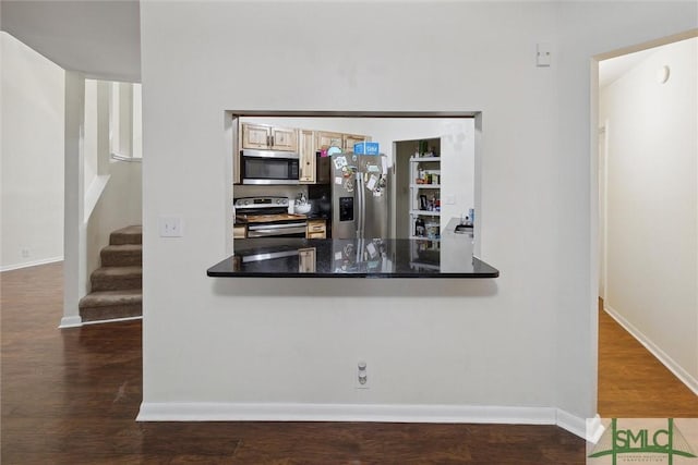 kitchen featuring light brown cabinetry, dark wood-type flooring, and stainless steel appliances