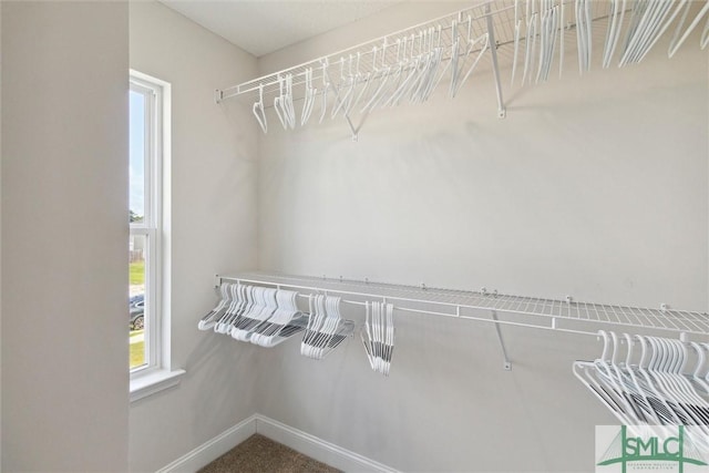 spacious closet featuring carpet floors