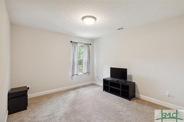 interior space with light carpet and a textured ceiling