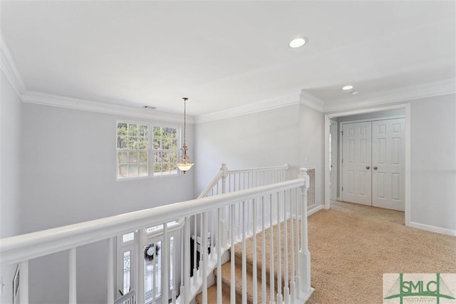 hall featuring ornamental molding and carpet